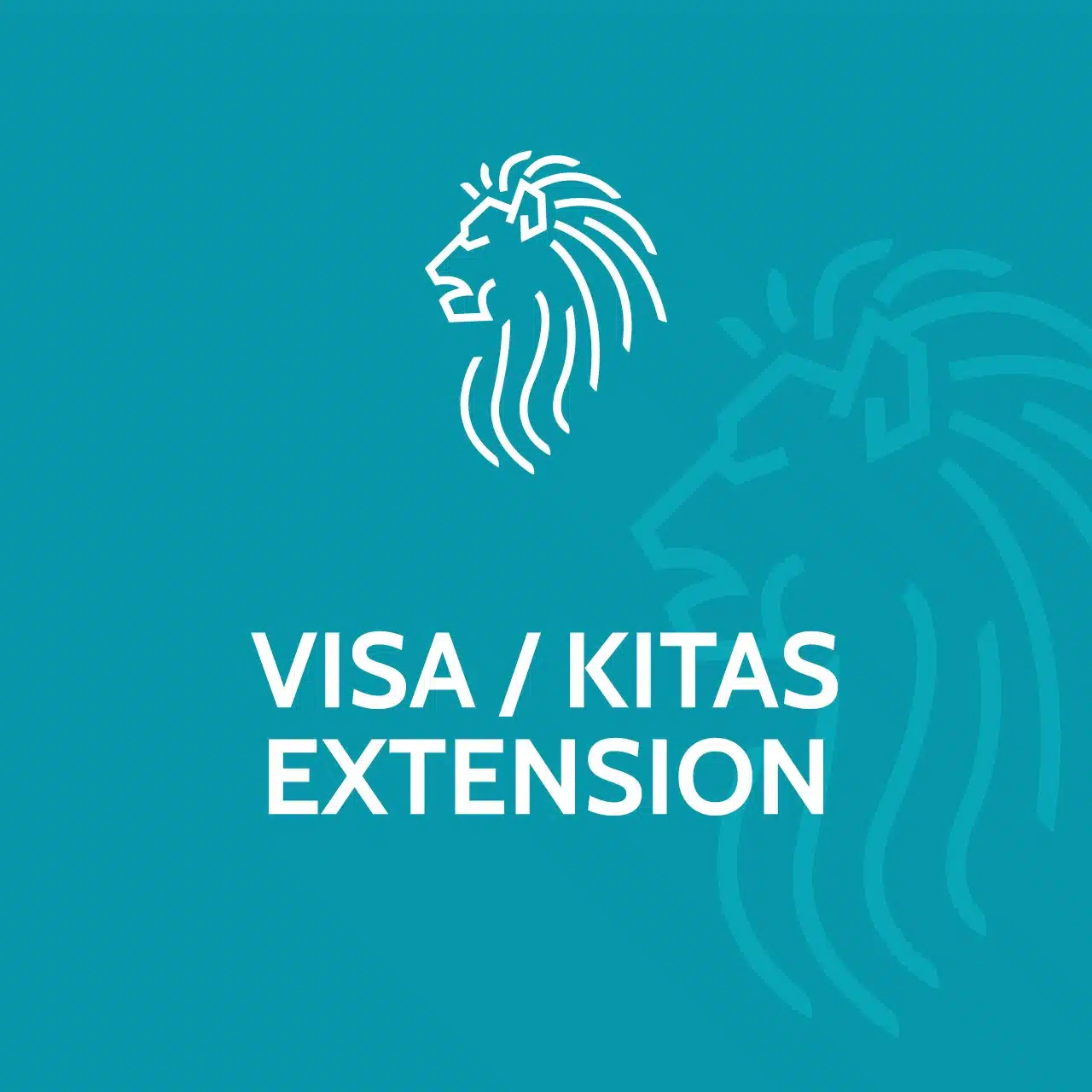 Jasa Pengurusan Visa KITAS