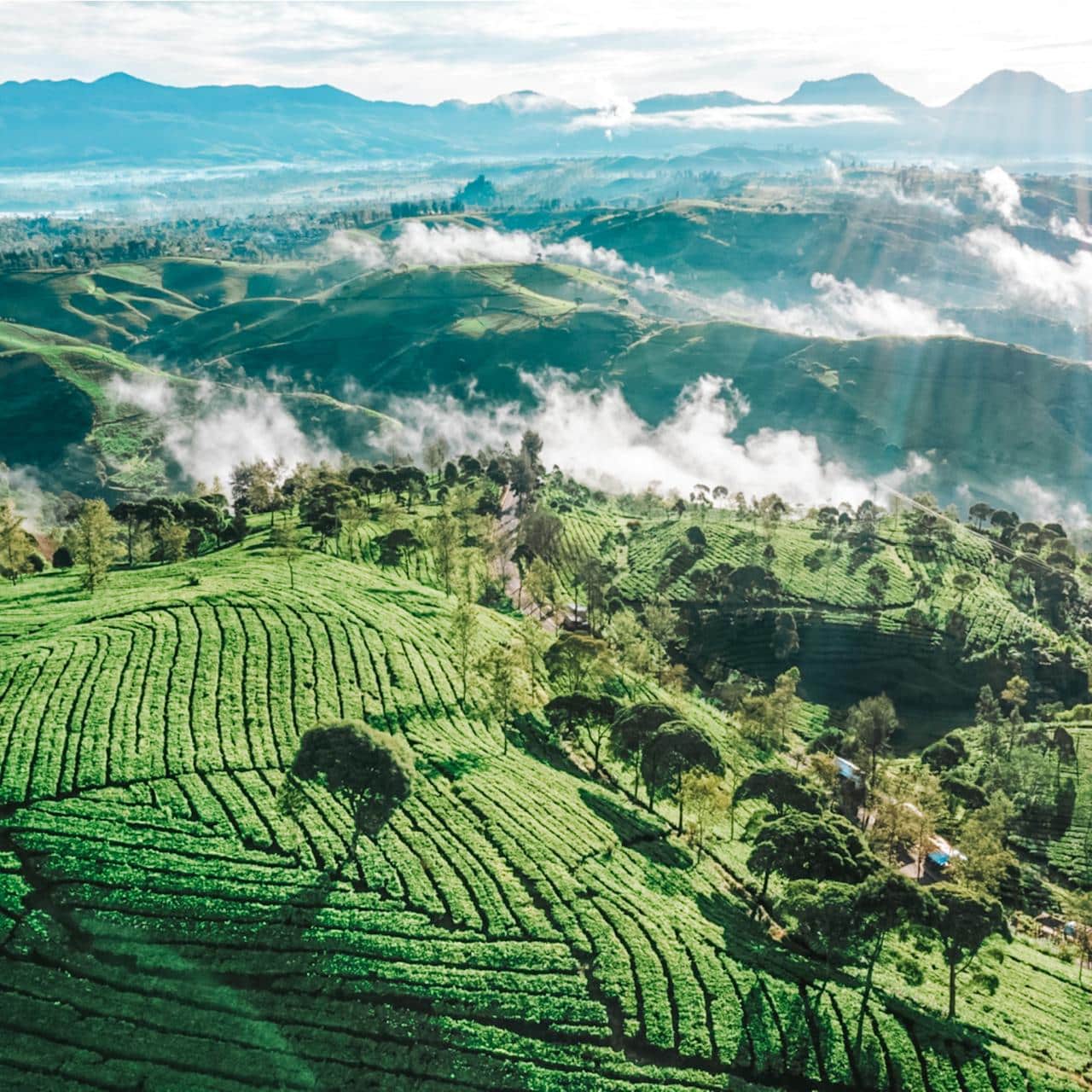 Jenis-Jenis Visa dan Negara Tujuan Populer dari Bandung