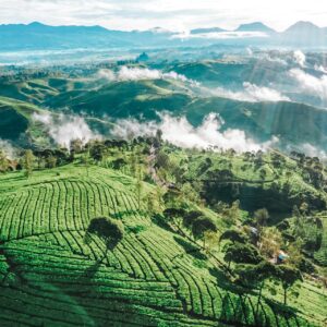 Peraturan dan Kebijakan Terbaru Visa di Bandung