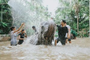 Bahasa Inggris Pemegang KITAS Dan Domestik