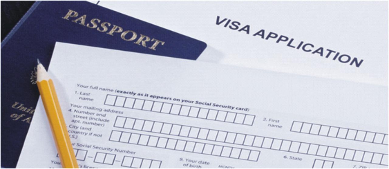 Visa document application migration