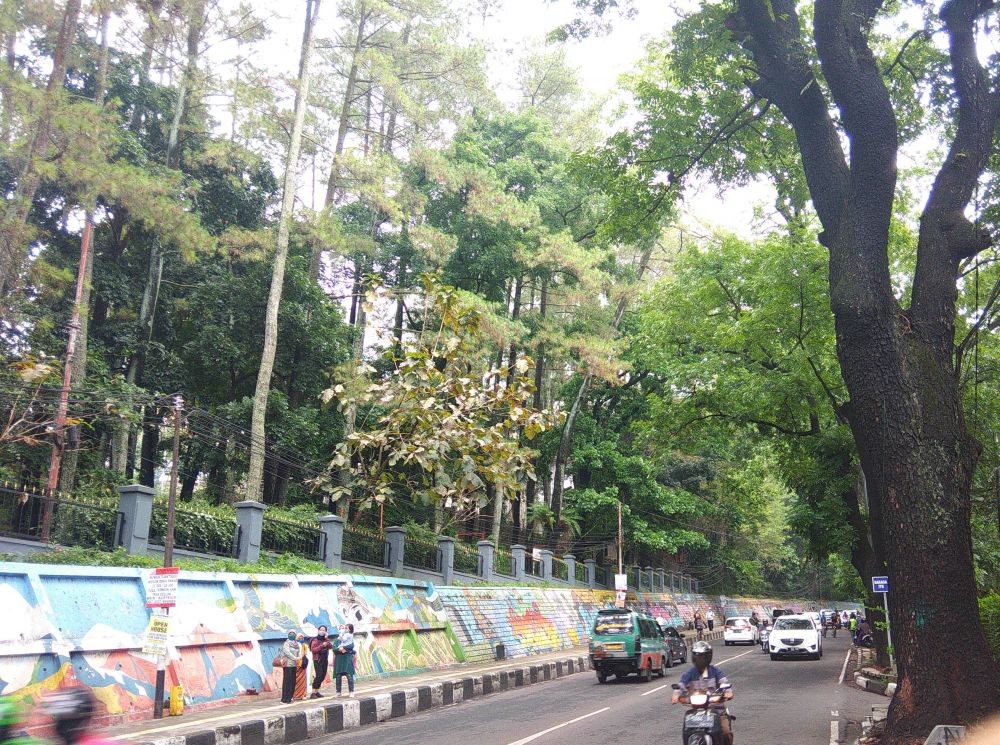 Jasa Pengurusan Paspor Babakan Bandung