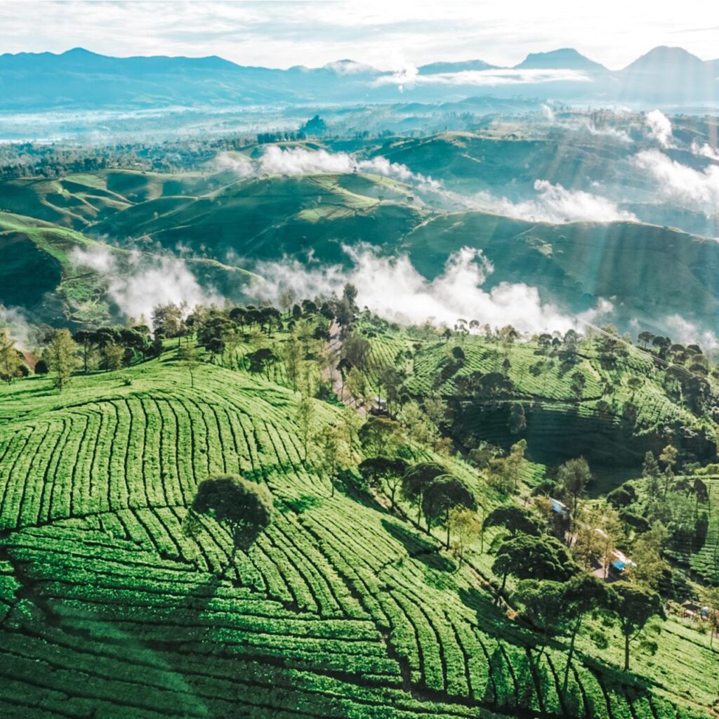 Jasa Visa Turis Pakemitan Bandung