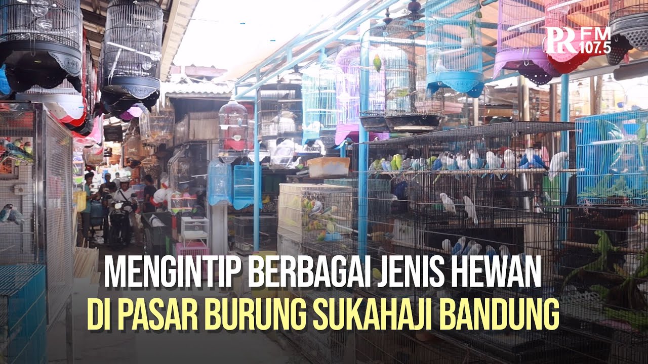 Jasa KITAS Sukahaji Bandung